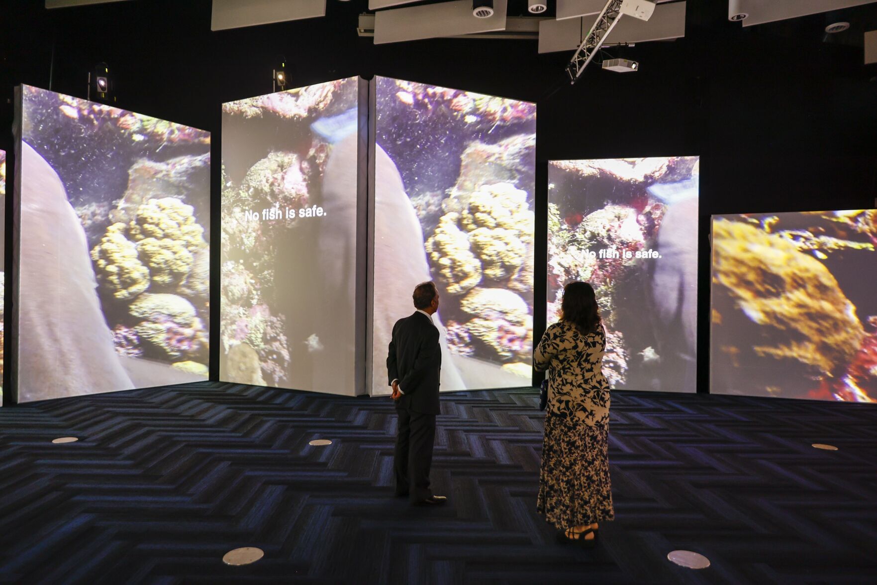 ‘Shark Planet: Predator or Prey’ headed to the Virginia Science Museum in the summer | Art and theater