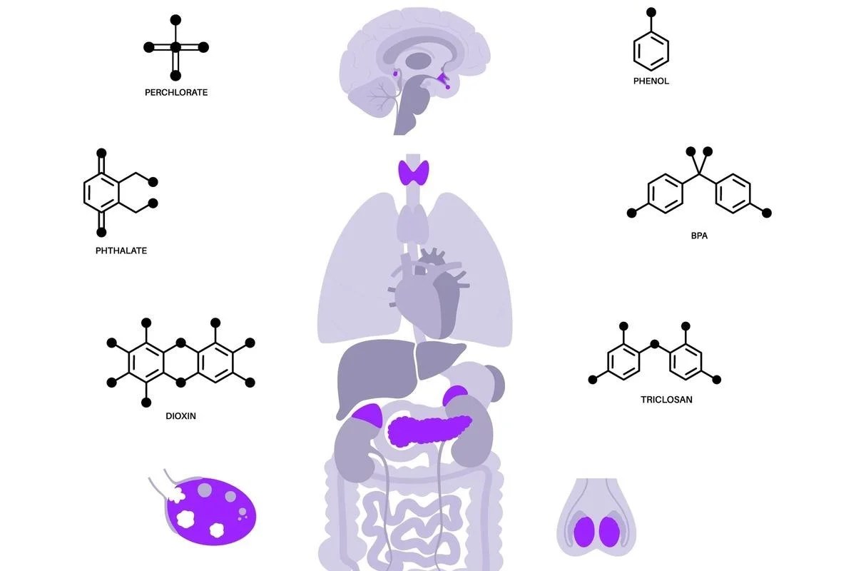 Image credit: Pikovit / Shutterstock.com Image credit: Pikovit / Shutterstock.com