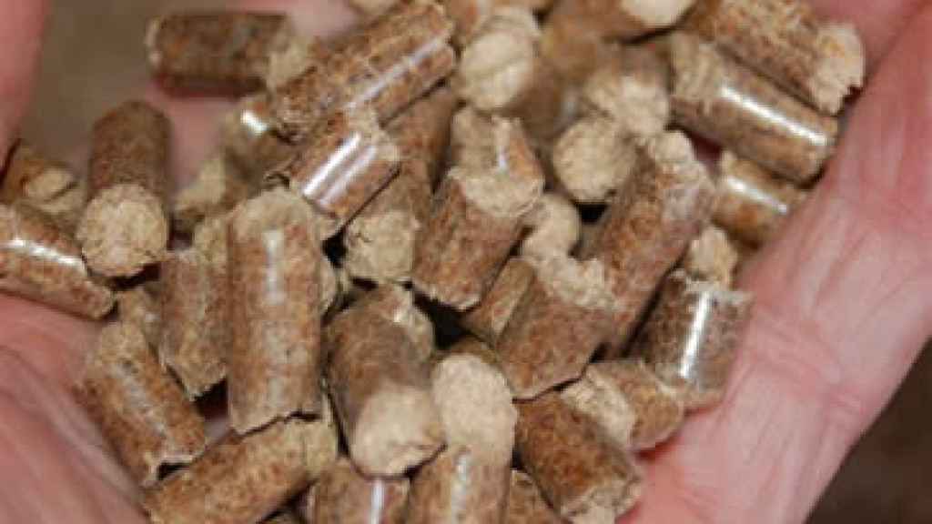 How European energy policy could affect Georgia’s business – and the trees